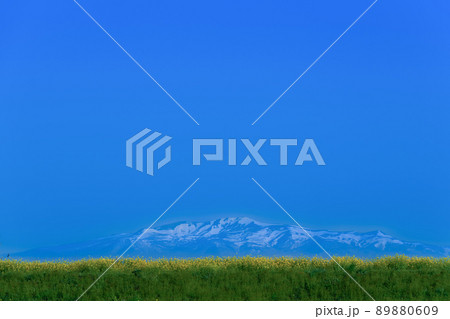 菜の花と残雪の栗駒山 89880609