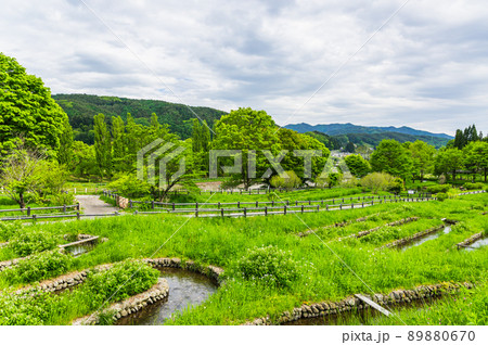 辰野町 初夏のほたる童謡公園 辰野町 初夏のほたる童謡公園 89880670