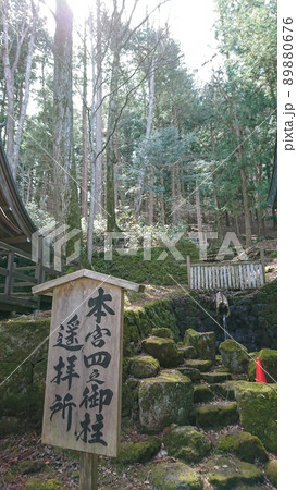信濃國一之宮 諏訪大社 上社 本宮 四之御柱参拝所 89880676