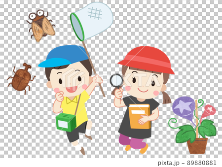 夏の子供達　虫取り・アサガオ 89880881