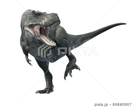 ティラノサウルス1 89880907