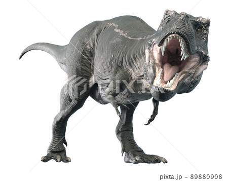 ティラノサウルス2のイラスト素材 0908