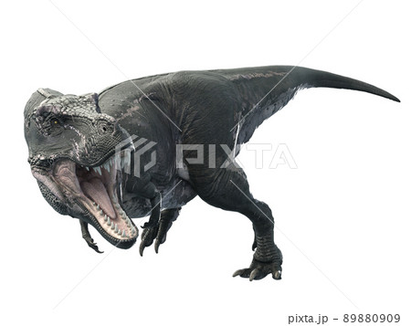 ティラノサウルス3 89880909