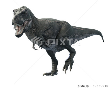 ティラノサウルス4 89880910