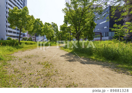 長堀通の分離帯部を遊歩道にした西横堀公園（大阪市西区） 89881328