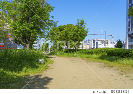 長堀通の分離帯部を遊歩道にした西横堀公園(大阪市西区) 長堀通の分離帯部を遊歩道にした西横堀公園(大阪市西区) 89881332