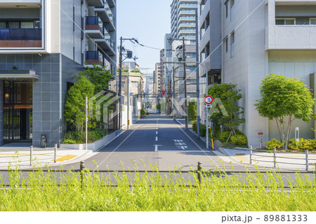 長堀通の分離帯部を遊歩道にした西横堀公園（大阪市西区） 89881333