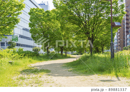 長堀通の分離帯部を遊歩道にした西横堀公園（大阪市西区） 89881337