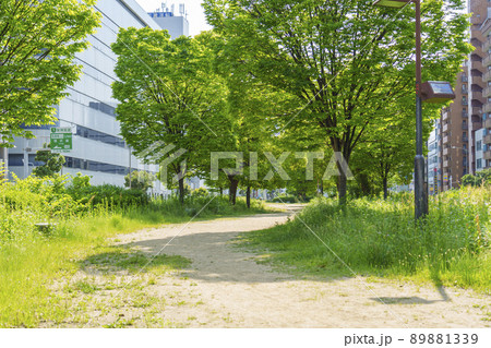 長堀通の分離帯部を遊歩道にした西横堀公園(大阪市西区) 長堀通の分離帯部を遊歩道にした西横堀公園(大阪市西区) 89881339