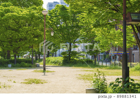 長堀通の分離帯部を遊歩道にした西横堀公園（大阪市西区） 89881341