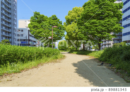 長堀通の分離帯部を遊歩道にした西横堀公園(大阪市西区) 長堀通の分離帯部を遊歩道にした西横堀公園(大阪市西区) 89881343
