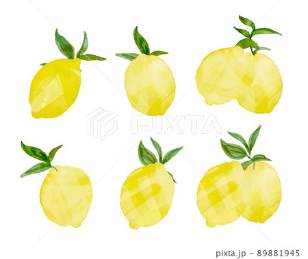 水彩画 水彩タッチの葉っぱ付きベクターレモンイラストセット 夏の果実イラスト レモンの透明水彩挿絵のイラスト素材 1945
