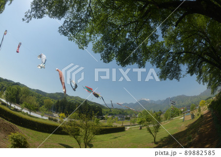 北杜市白州町、五月の空を泳ぐホタル公園の鯉のぼり 北杜市白州町、五月の空を泳ぐホタル公園の鯉のぼり 89882585