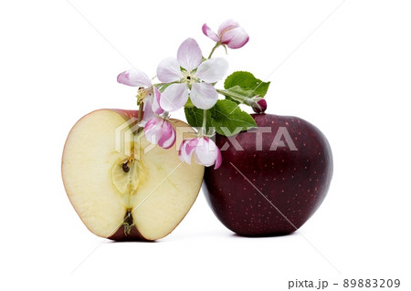 Red apple next to apple slices and apple blossoms Red apple next to apple slices and apple blossoms 89883209