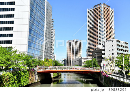 御成橋/目黒川周辺を下流より望む(東京都品川区)【2022.4】 御成橋/目黒川周辺を下流より望む(東京都品川区)【2022.4】 89883295