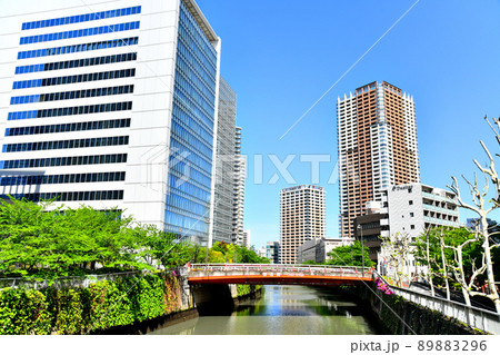 御成橋／目黒川周辺を下流より望む(東京都品川区)【2022.4】 89883296