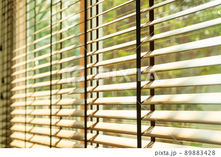 close-up bamboo blind, bamboo curtain, chick, Venetian blind or sun-blind 89883428