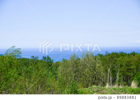 天狗山の風景 天狗山の風景 89883881