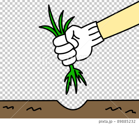 Weed removal 89885232