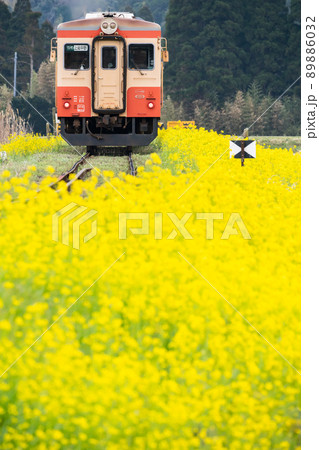 日本情景　大多喜周辺の電車と菜の花のある風景 89886032