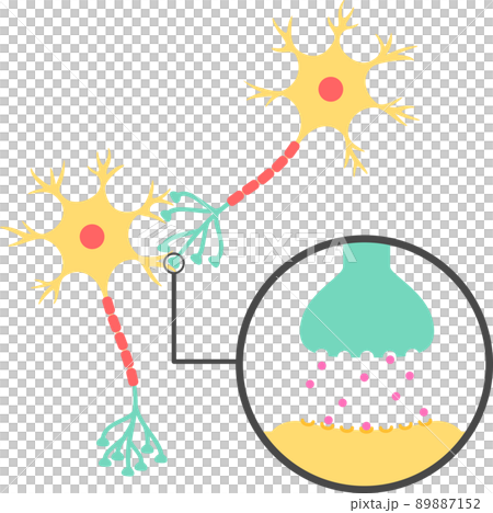 Image of synapses and neurotransmitters 89887152