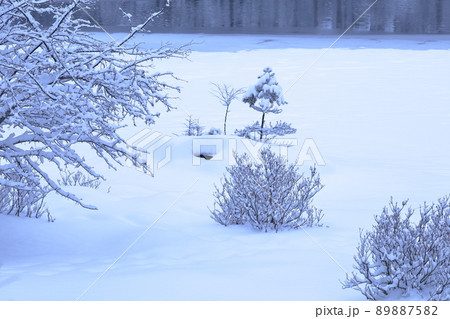 静まり返った冬のため池(御射鹿池 長野県 茅野市) 静まり返った冬のため池(御射鹿池 長野県 茅野市) 89887582