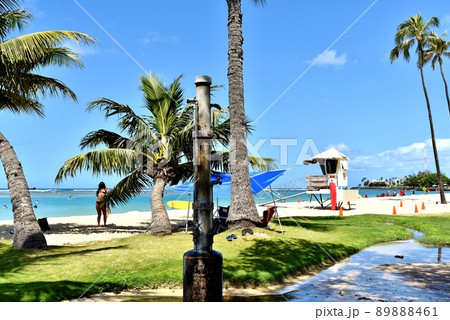 ハワイの休日 ハワイの休日 89888461