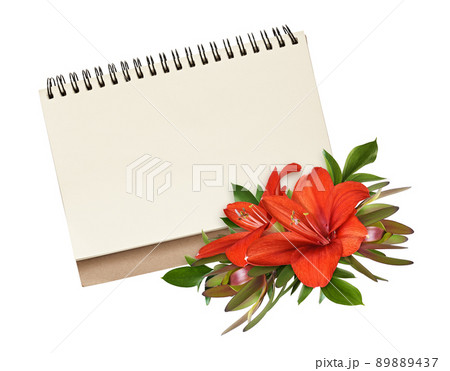 Red amaryllis flowers, leucadendron and ruscus in a floral arrangement in a corner of empty notepad isolated on white 89889437