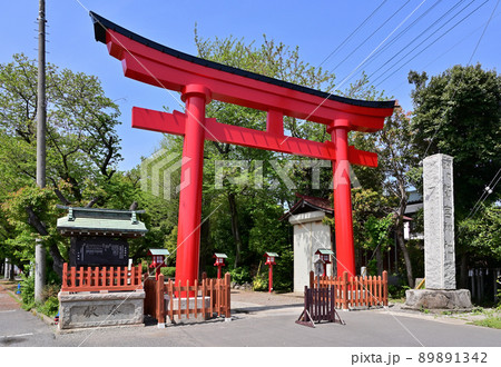 鷲宮神社・大鳥居　埼玉県久喜市 89891342