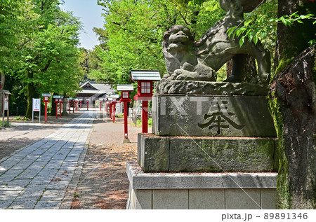 鷲宮神社・参道 埼玉県久喜市 鷲宮神社・参道 埼玉県久喜市 89891346