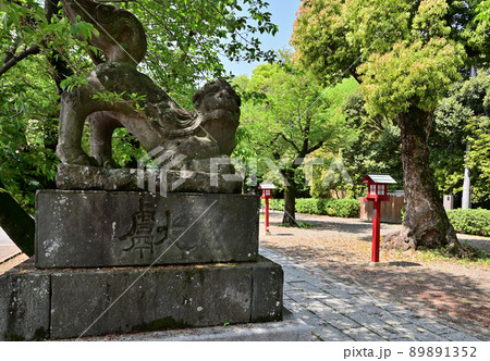 鷲宮神社・狛犬 埼玉県久喜市 鷲宮神社・狛犬 埼玉県久喜市 89891352