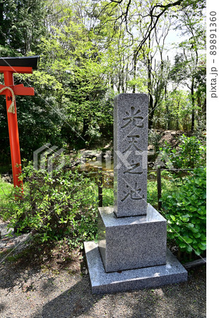 鷲宮神社・鷲宮堀内遺跡 光天之池 埼玉県久喜市 鷲宮神社・鷲宮堀内遺跡 光天之池 埼玉県久喜市 89891360