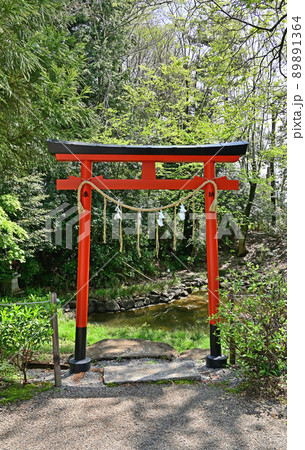 鷲宮神社・鷲宮堀内遺跡 光天之池 埼玉県久喜市 鷲宮神社・鷲宮堀内遺跡 光天之池 埼玉県久喜市 89891364