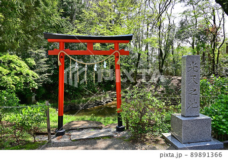 鷲宮神社・鷲宮堀内遺跡 光天之池 埼玉県久喜市 鷲宮神社・鷲宮堀内遺跡 光天之池 埼玉県久喜市 89891366