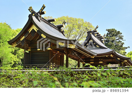鷲宮神社・本殿 埼玉県久喜市 鷲宮神社・本殿 埼玉県久喜市 89891394