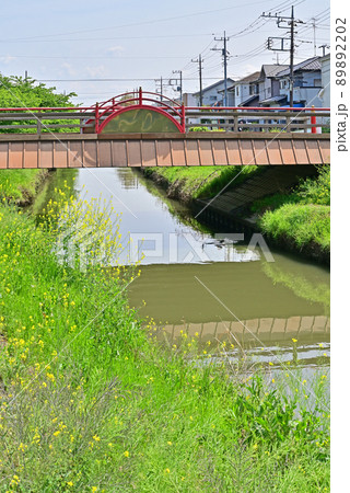 青毛堀川に架かる宮前橋・欄干　鷲宮神社　久喜市 89892202