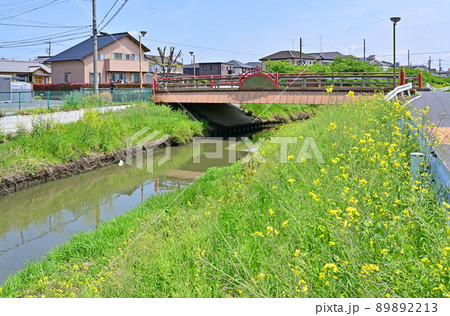 青毛堀川に架かる宮前橋・欄干　鷲宮神社　久喜市 89892213