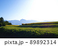 秋の稲田と南アルプスの風景 89892314