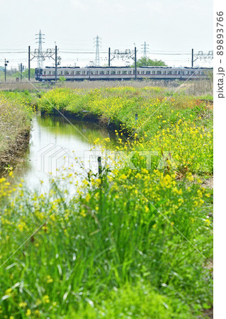 鉄道 私鉄:東武伊勢崎線 10000系 鉄道 私鉄:東武伊勢崎線 10000系 89893766
