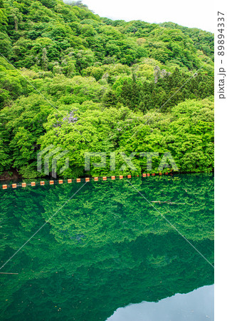 猿ヶ京温泉の赤谷湖　新緑の山肌と幻想的な水鏡の風景 89894337
