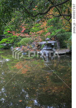 秋の友泉亭 秋の友泉亭 89897397