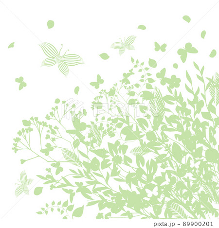Background with delicate green leaves and flowers. Vector illustration. Spring or summer flowers for invitation, wedding or greeting cards. 89900201