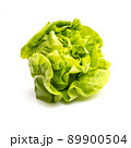 Fresh green lettuce on white background. 89900504