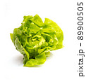 Fresh green lettuce on white background. 89900505