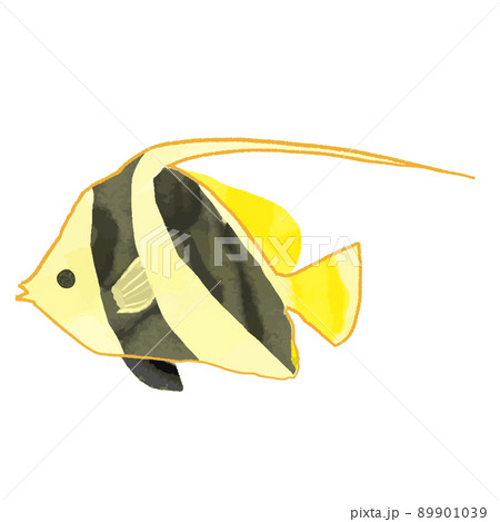 熱帯魚の手描き風イラスト素材 水彩 熱帯魚の手描き風イラスト素材 水彩 89901039