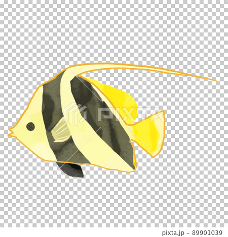 熱帯魚の手描き風イラスト素材 水彩 熱帯魚の手描き風イラスト素材 水彩 89901039