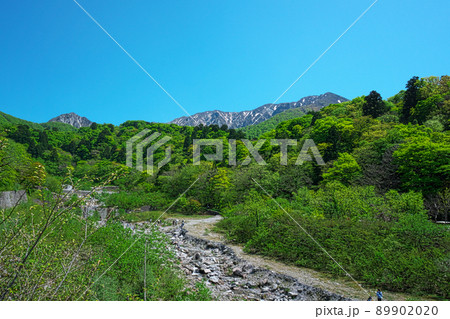 【日本百名山】大山と新緑と初夏の快晴の青空1　鳥取県西伯郡大山町 89902020
