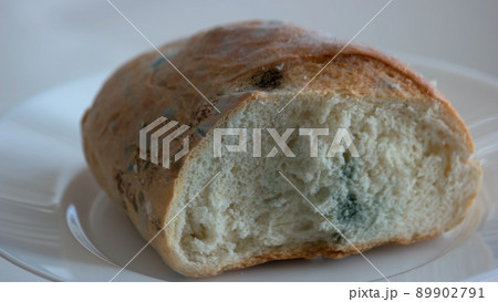 Close up piece of bread covered with mold. 89902791