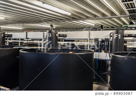 Anderlecht, Brussels Capital Region - Belgium - View over the water reservoirs with aquaculture at the rooftop Aquaponic farms 89903087