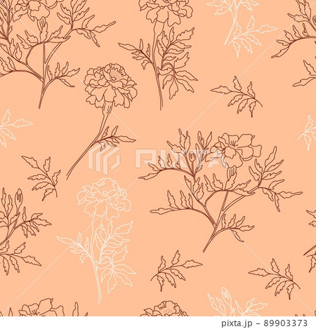 Floral seamless pattern. Beautiful blooming marigolds with leaves and buds on light orange background. Vector illustration. Linear hand drawing, sketch for design, packaging, wallpaper and print. Floral seamless pattern. Beautiful blooming marigolds with leaves and buds on light orange background. Vector illustration. Linear hand drawing, sketch for design, packaging, wallpaper and print. 89903373